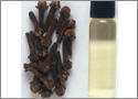 Clove oil